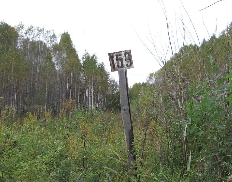 Файл:Асинхронное плавание (Столб).jpg