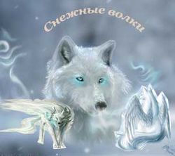 Снежные волки (лого).jpg
