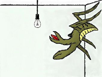 потолковый лампожуй