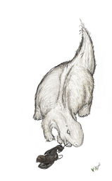 пухозаврик