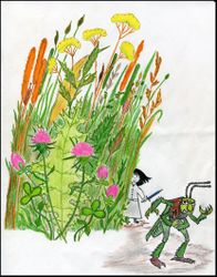 Сяркойрожей (У•В•О)