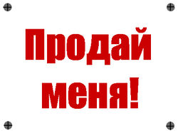 Табличка «Продай меня».jpg