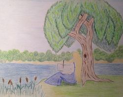 Тай-илара (У•В•О)