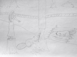 Тай-илара (У•В•О)