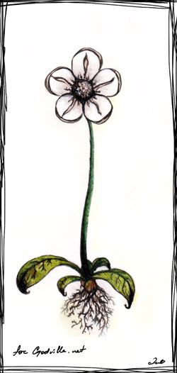 Цветик-анальгетик by Красавица.jpg