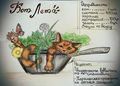 Миниатюра для версии от 15:29, 21 июня 2019