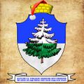 Герб города Новогодвилль