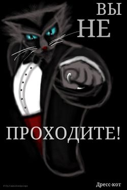 Дресс-кот от Самки Контролера.jpeg