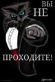 Дресс-Кот