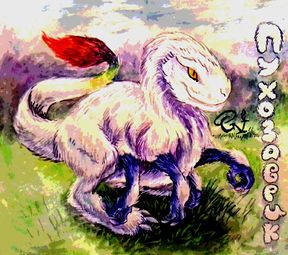 Этот вид очень любит завязывать by  Камисория