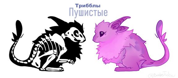 Анатомия пушистого триббла by Ролен Галанодель (У•В•О)