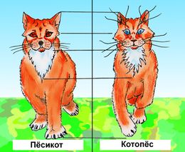 Пёсикот и Котопёс. Оставлено в загоне до готовности статьи.