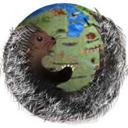Дикобраузер by Мрсо Мен.png