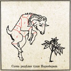 Наркобаран by Анн.jpg