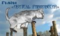 Миниатюра для версии от 11:23, 21 июня 2009