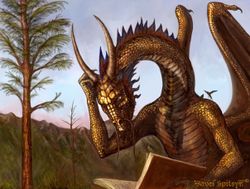 Dragon Yiff 1.jpg