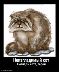 Самка Контролера (У•В•О)